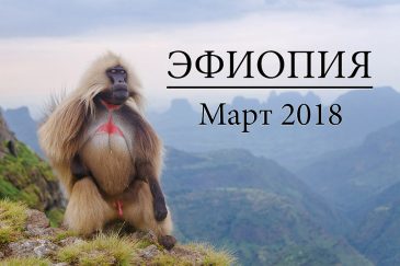 Поездка в Эфиопию