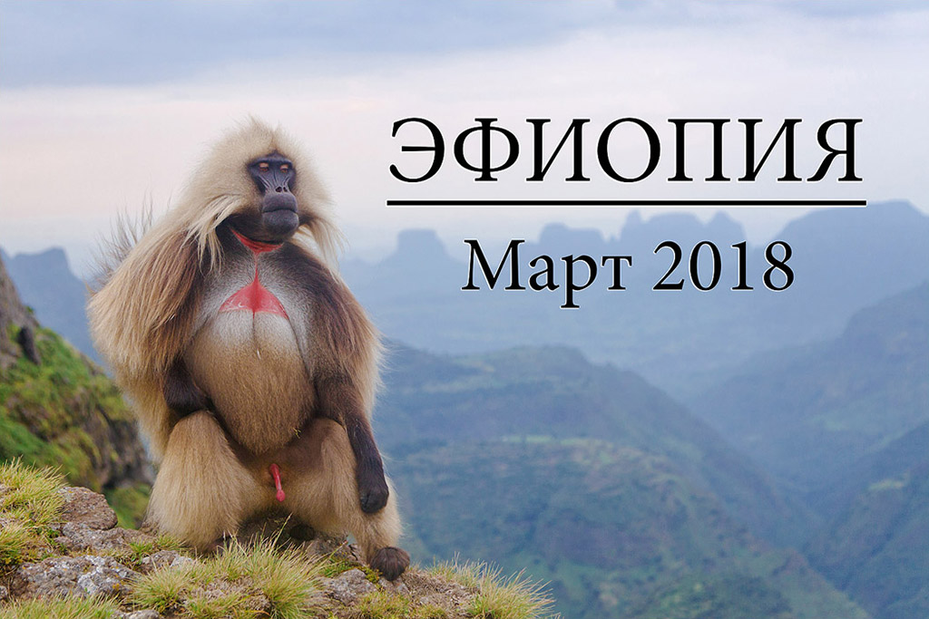 Поездка в Эфиопию. Март 2018