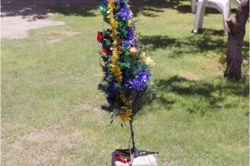 Новогодняя елка в одном из дворов 31 декабря (в Южном полушарии. Аргентина