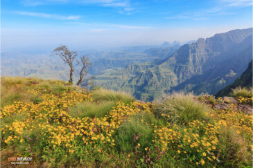 Горы Сымен в северной Эфиопии