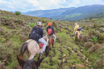 На лошадях в горах Бале. Южная Эфиопия