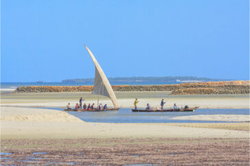 Традиционные рыбацкие лодки дхоу возле Дар-эс-Салама