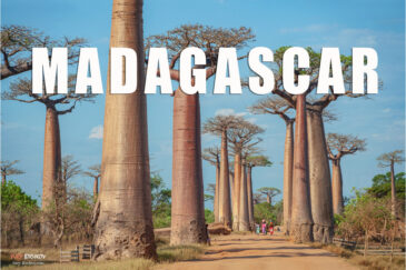 Фото Мадагаскара