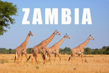 Фотографии Замбии