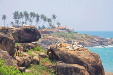 Берег Индийского океана у города Ковалам, штат Керала.