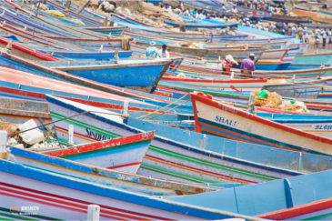 Лодки рыбаков в поселке Ковалам. Штат Керала