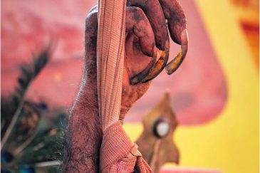 Рука аскета, взявшего обет держать ее поднятой 12 лет. Индия
