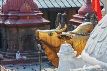 Храм Шивы в Пашупатинатхе на окраине Катманду