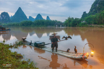 Рыбалка с бакланами на реке Ли у городка Яншо в провинции Гуанси