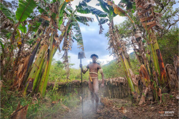 Портет папуаса из деревни Сампайна. Провинция Папуа, остров Новая Гвинея
