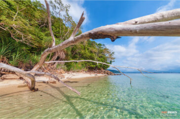 Затерянный пляж на небольшом острове Сапи недалеко от города Кота-Кинабалу, Борнео