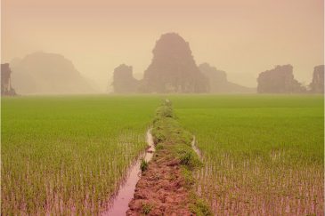 Скалы и рисовые поля в окрестностях Нин Бина