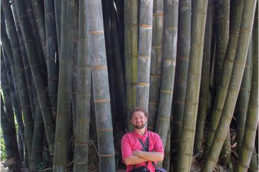 На фоне гигантского бамбука