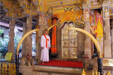 Во многих храмах Шри Ланки на входе стоят слоновьи бивни. Храм зуба Будды в Канди