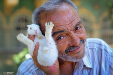 Продавец кроликов в Стамбуле