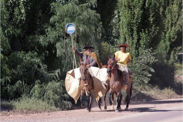 Гаучо - южноамериканские ковбои на дорогах Аргентины