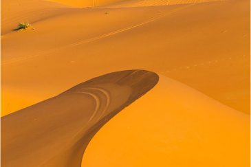 Пески пустыни Сахара. Морокко