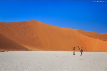 Минималистские пейзажи в Deadvlei. Пустыня Намиб