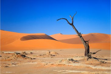 Сухое озеро Deadvlei среди песков пустыни Намиб