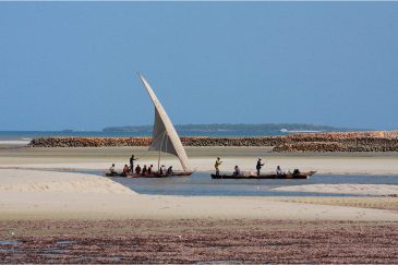 Традиционные лодки дхоу возле Дар-эс-Салама