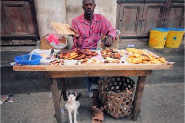 Уличный продавец осьминогов и его кот - охранник. Остров Занзибар