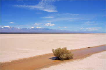 Высохшее озеро у подножия Анд. Аргентина