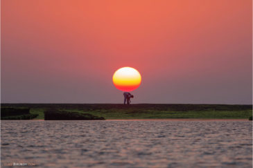 Носитель солнца на острове Диу