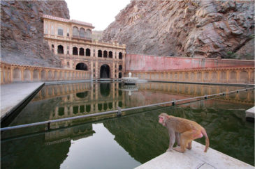 Священный пруд Гальта Кунд возле Джайпура