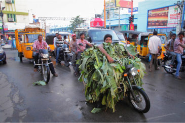 Замаскированный мотоциклист в городке Тирупати. Штат Андхра-Прадеш