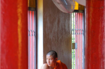 Буддистский монах. Северный Тайланд