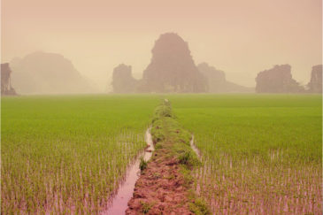 Скалы и рисовые поля в окрестностях Нин Бина