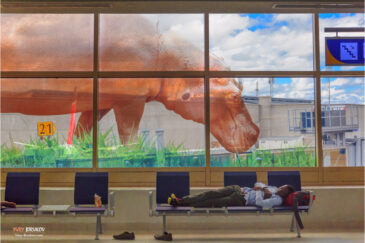 Сон в аэропорту Найроби