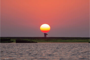 Носитель солнца на острове Диу