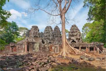 Руины древних храмов Ангкора