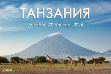 Авторский тур в Танзанию. Декабрь 2023-январь 2024